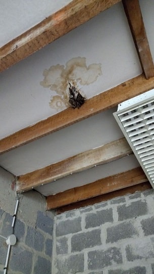 Infiltration d'eau et dégats