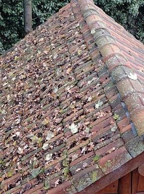 photo avant nettoyage toiture